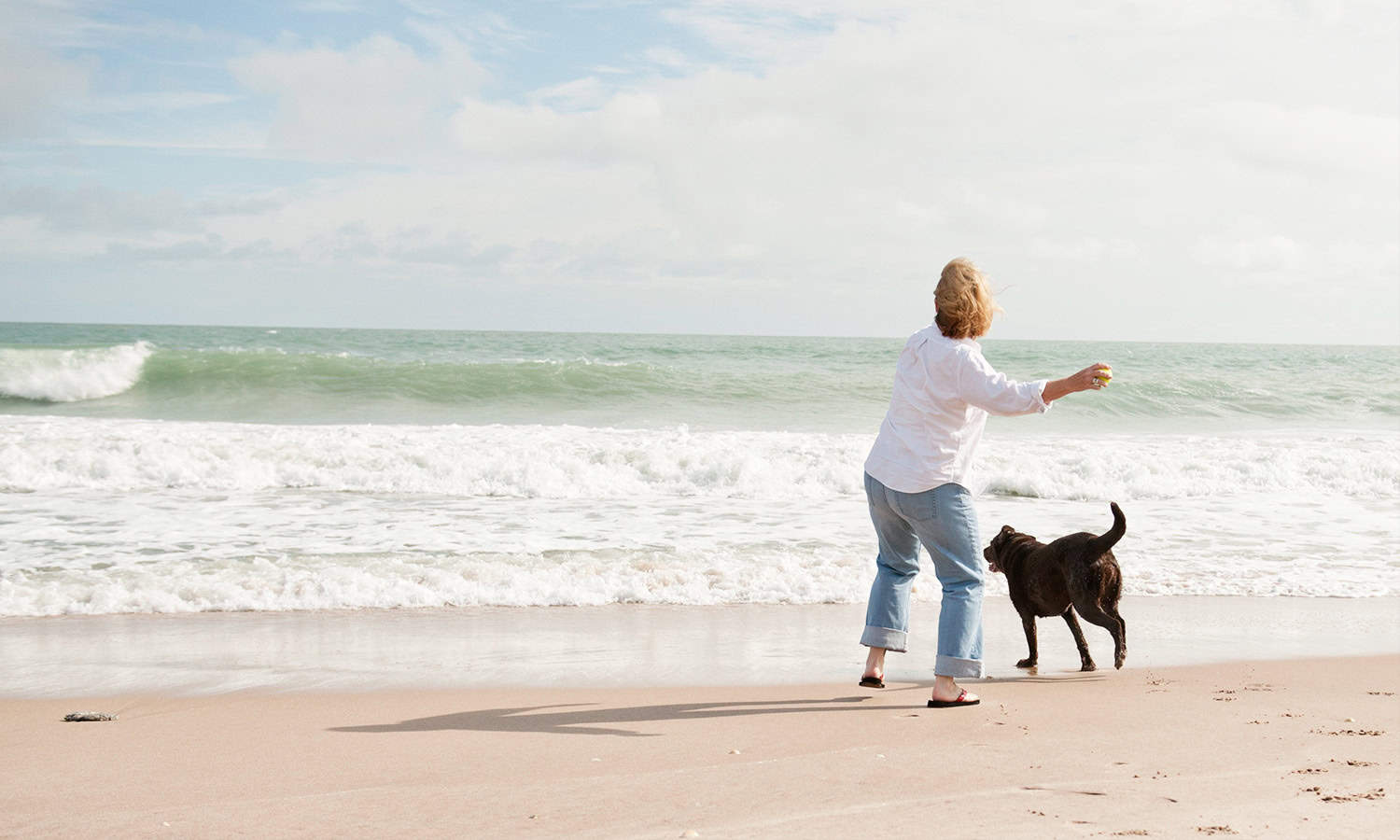 Dog on the beach